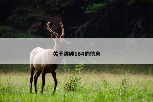 关于跳绳164的信息