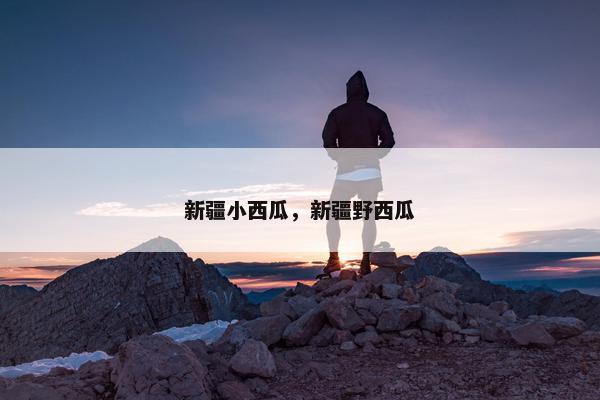 新疆小西瓜，新疆野西瓜