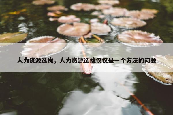 人力资源选拔，人力资源选拔仅仅是一个方法的问题