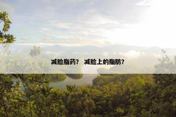 减脸脂药？ 减脸上的脂肪？