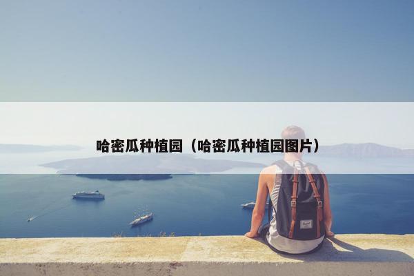 哈密瓜种植园（哈密瓜种植园图片）
