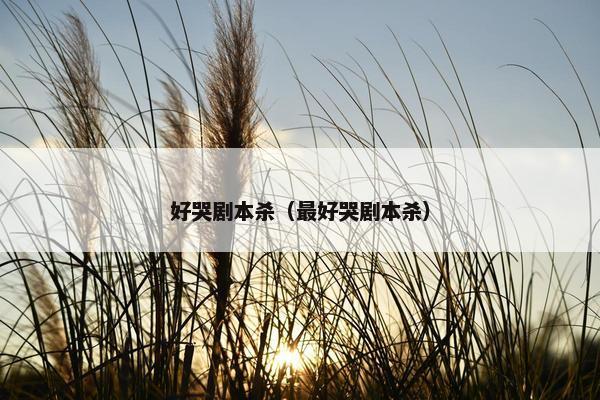 好哭剧本杀（最好哭剧本杀）