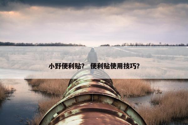 小野便利贴？ 便利贴使用技巧？