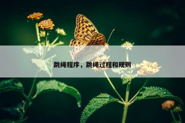 跳绳程序，跳绳过程和规则