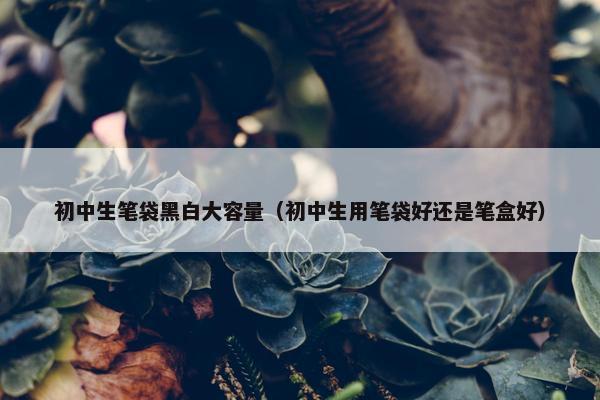 初中生笔袋黑白大容量（初中生用笔袋好还是笔盒好）