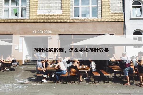 落叶摄影教程，怎么拍摄落叶效果