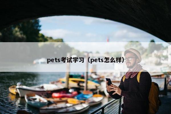 pets考试学习（pets怎么样）