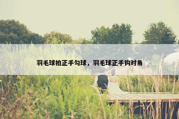 羽毛球拍正手勾球，羽毛球正手钩对角