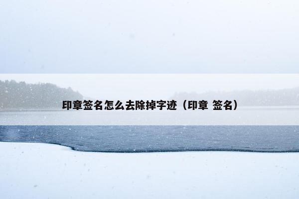 印章签名怎么去除掉字迹（印章 签名）