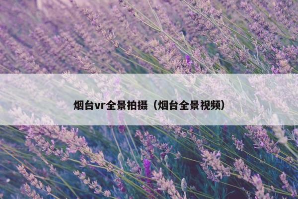 烟台vr全景拍摄（烟台全景视频）