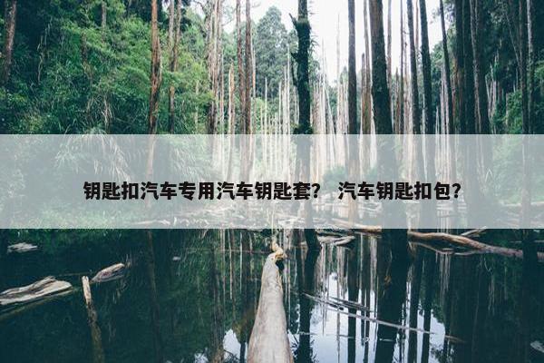 钥匙扣汽车专用汽车钥匙套？ 汽车钥匙扣包？