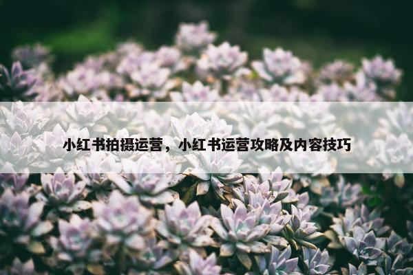 小红书拍摄运营，小红书运营攻略及内容技巧