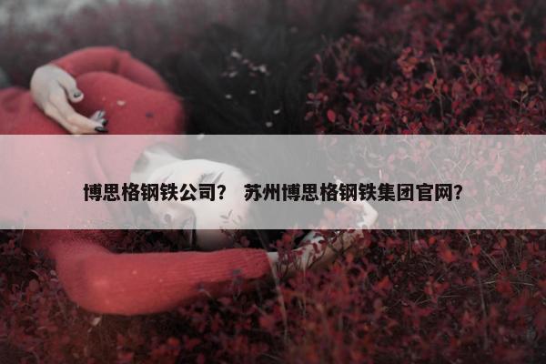 博思格钢铁公司？ 苏州博思格钢铁集团官网？