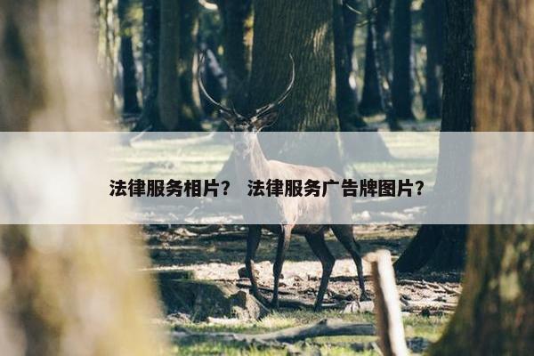 法律服务相片？ 法律服务广告牌图片？