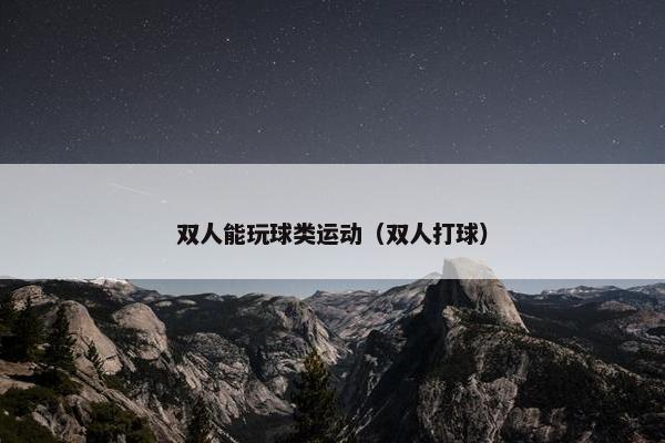 双人能玩球类运动（双人打球）