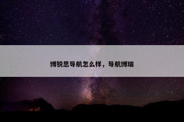 博锐思导航怎么样，导航博瑞