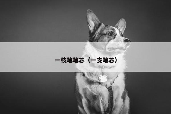 一枝笔笔芯（一支笔芯）