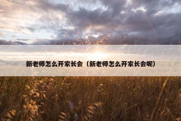 新老师怎么开家长会（新老师怎么开家长会呢）
