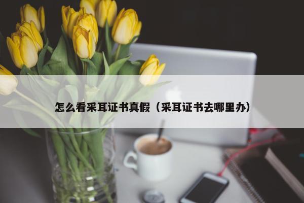 怎么看采耳证书真假（采耳证书去哪里办）