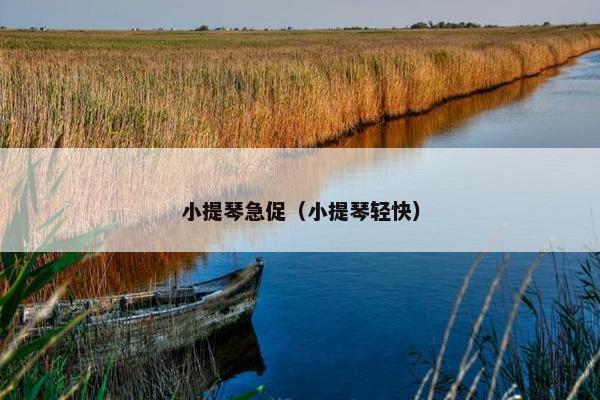 小提琴急促（小提琴轻快）