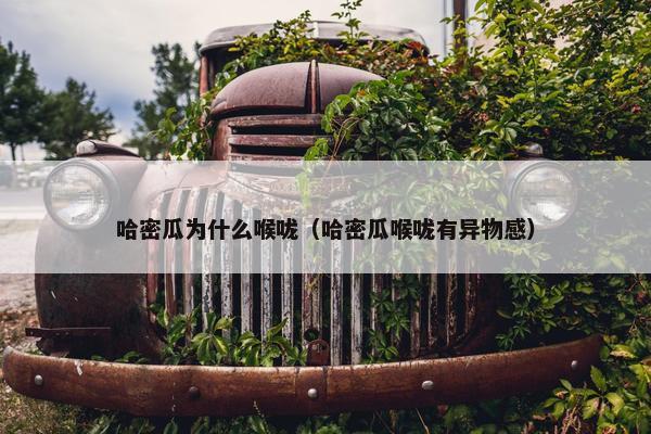 哈密瓜为什么喉咙（哈密瓜喉咙有异物感）