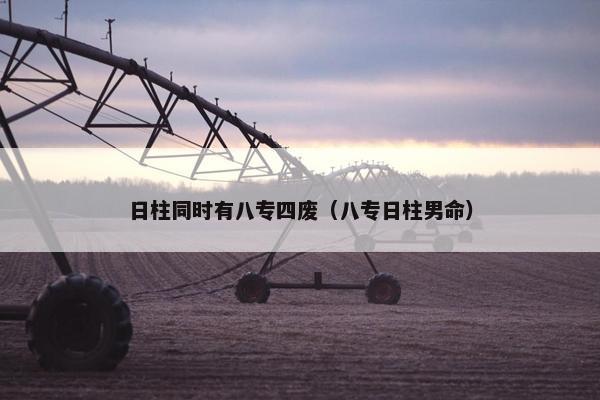 日柱同时有八专四废（八专日柱男命）
