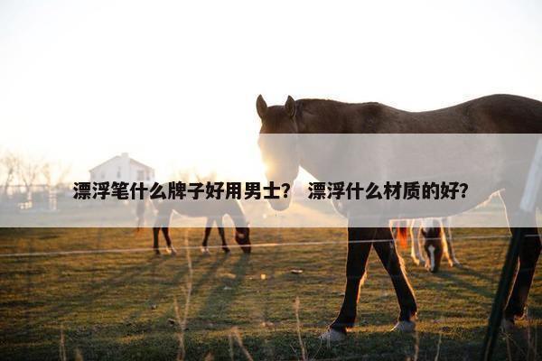 漂浮笔什么牌子好用男士？ 漂浮什么材质的好？