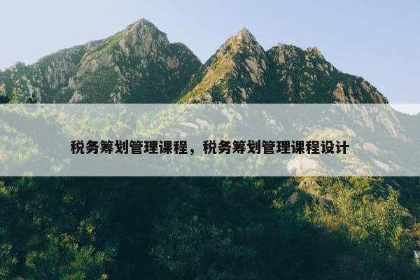 税务筹划管理课程，税务筹划管理课程设计