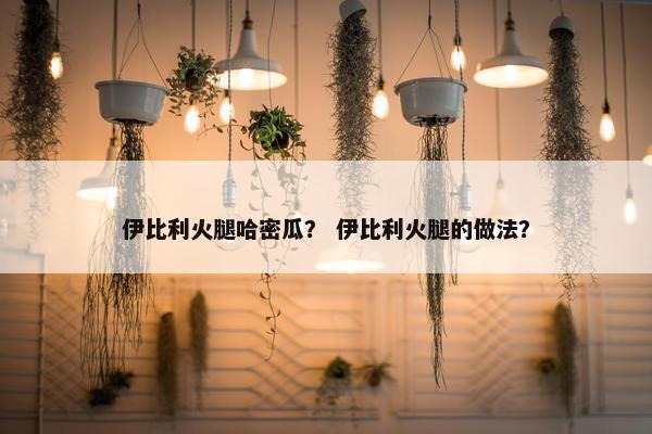 伊比利火腿哈密瓜？ 伊比利火腿的做法？