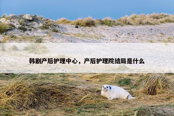 韩剧产后护理中心，产后护理院结局是什么