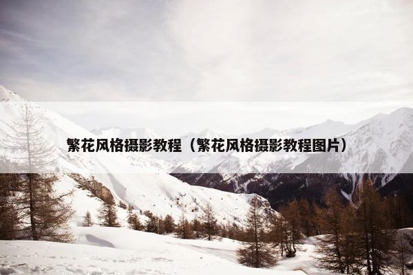 繁花风格摄影教程（繁花风格摄影教程图片）