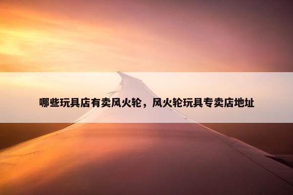 哪些玩具店有卖风火轮，风火轮玩具专卖店地址