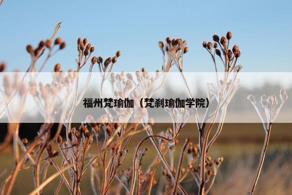 福州梵瑜伽（梵刹瑜伽学院）