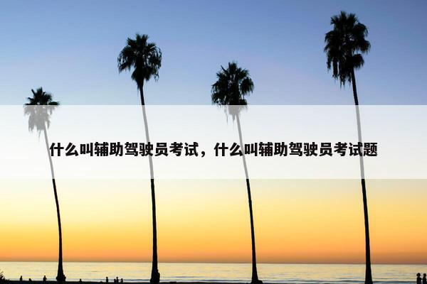 什么叫辅助驾驶员考试，什么叫辅助驾驶员考试题