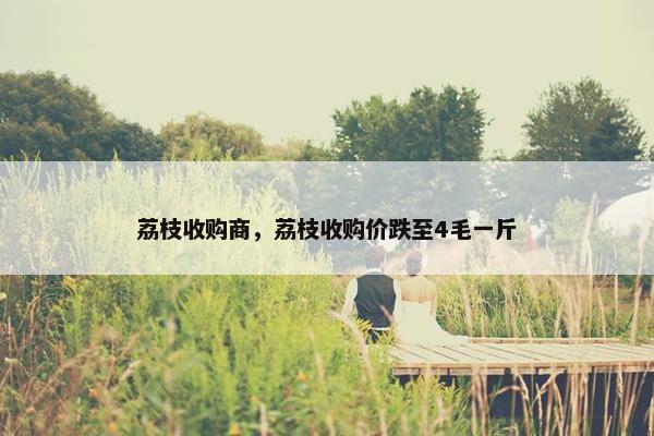 荔枝收购商，荔枝收购价跌至4毛一斤