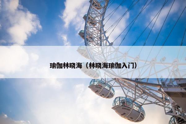 瑜伽林晓海（林晓海瑜伽入门）