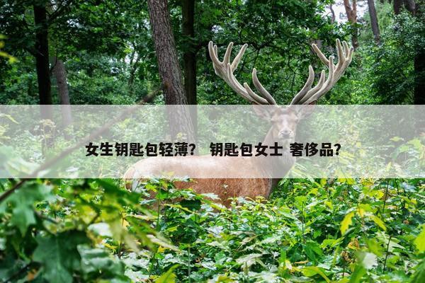 女生钥匙包轻薄？ 钥匙包女士 奢侈品？