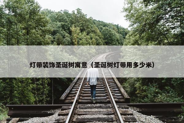 灯带装饰圣诞树寓意（圣诞树灯带用多少米）