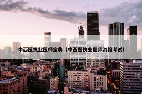 中西医执业医师宝典（中西医执业医师资格考试）