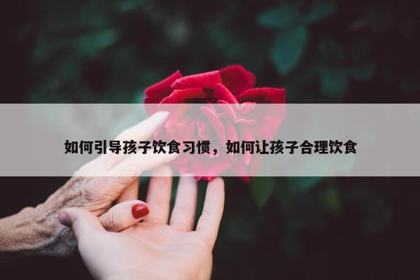 如何引导孩子饮食习惯，如何让孩子合理饮食