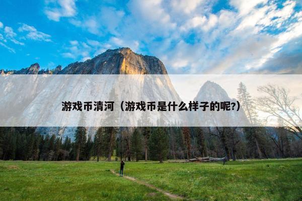游戏币清河（游戏币是什么样子的呢?）