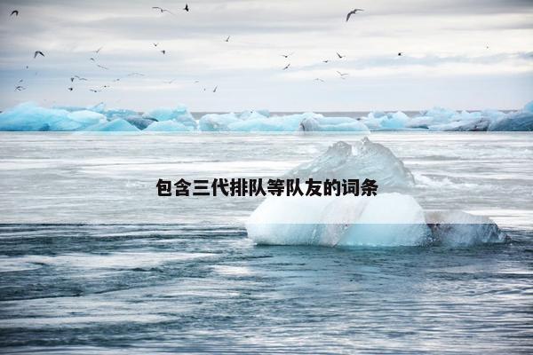 包含三代排队等队友的词条