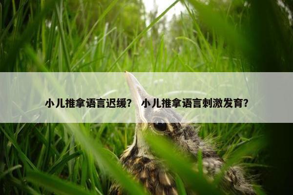 小儿推拿语言迟缓？ 小儿推拿语言刺激发育？