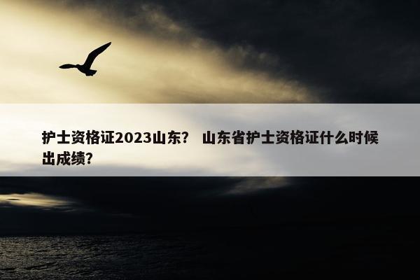 护士资格证2023山东？ 山东省护士资格证什么时候出成绩？