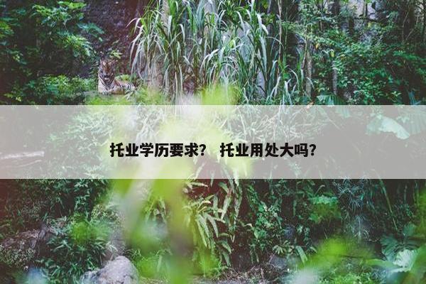 托业学历要求？ 托业用处大吗？