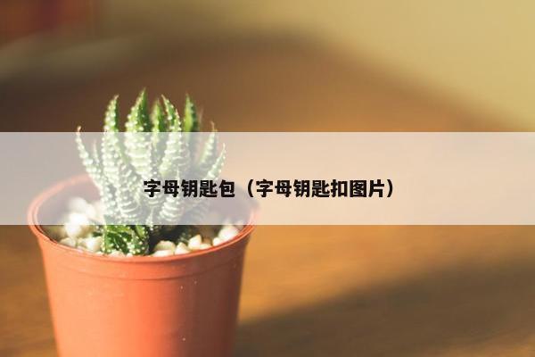 字母钥匙包（字母钥匙扣图片）