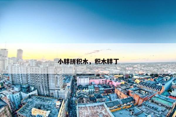 小胖拼积木，积木胖丁