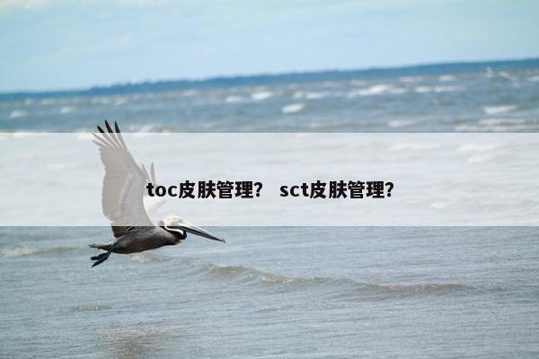 toc皮肤管理？ sct皮肤管理？