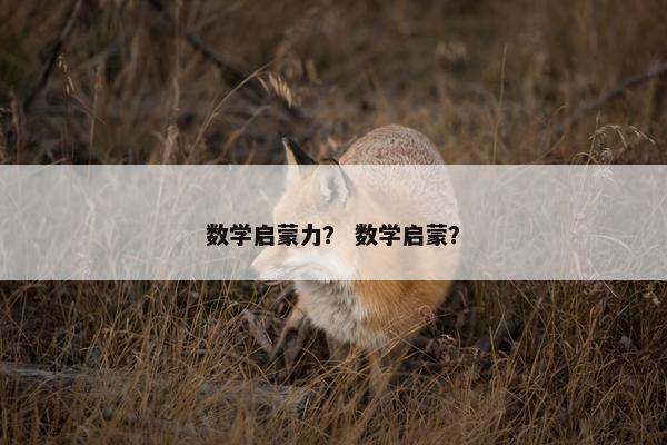 数学启蒙力？ 数学启蒙？