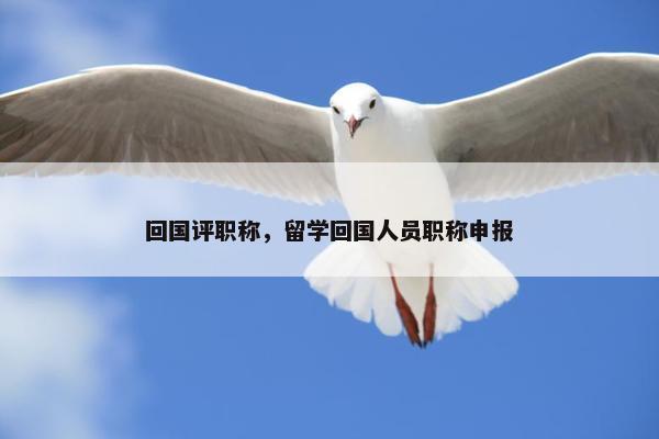 回国评职称，留学回国人员职称申报